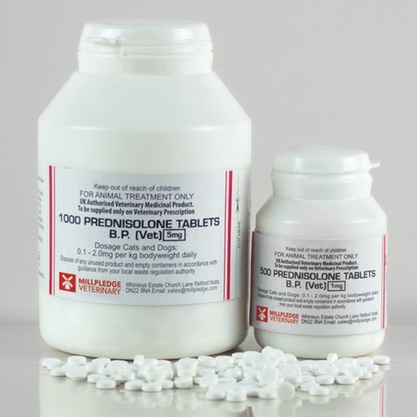 Prednisolone generico