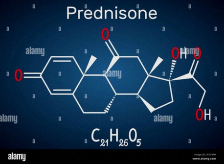Prednisone generico